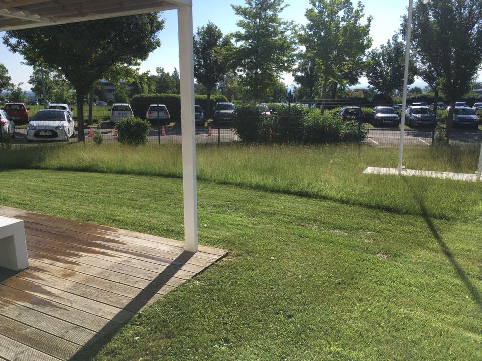 tonte raisonnée à Lautagne