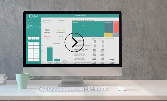 Business View, solution cloud de reporting pour Sage 100