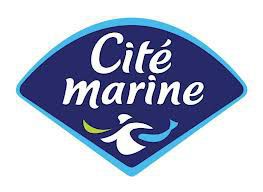 Koesio, intégrateur Sage, Microsoft Power Bi et Salesforce accompagne Cité Marine