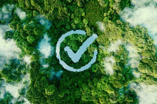 Le top 5 des actions pour réduire son empreinte numérique !