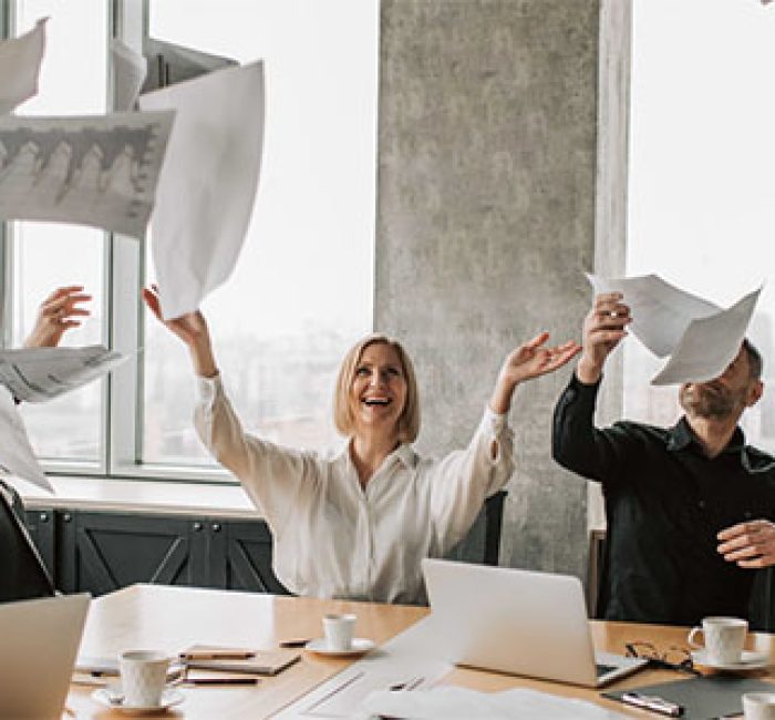 Gestion Article